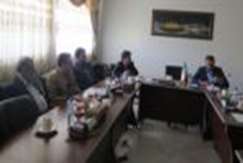 بررسی فرونشست روستای دیندارلو واقع در استان فارس