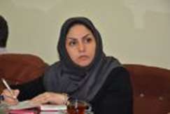 مدیرکل مرکز زمین‌شناسی استان گیلان: تهیه نقشه از محل دقیق گسل‌های کلانشهر رشت ضروری است