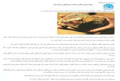 تولید شمش طلای استاندارد بین المللی با برند کردستان از جمله برنامه های سازمان صمت در این استان است