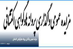 واگذاری ۶ محدوده اکتشافی در نیمه اول دی‌ماه سال جاری