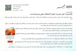 فعال بودن ۶ هزار معدن درکشور