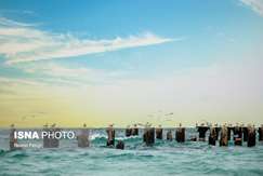 در یک مطالعه عنوان شد وجود فلزات سنگین در سواحل جزیره کیش