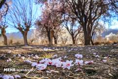 پیام‌های زمستان بی‌برف