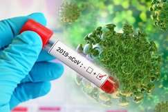 یافته جدید محققان؛ تغییرات اقلیمی عامل پیدایش کروناویروس