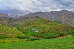 به بهانه روز طبیعت؛ نگاهی علمی به آشتی مجدد ما با طبیعت