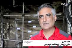 آغاز ششمین انقراض زمین/ این‌بار انسان مقصر است