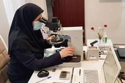 مطالعات میدانی اجرای طرح تحول زمین‌شناسی و اکتشاف ذخایر معدنی در خراسان‌جنوبی (مطالعات پتروگرافی)