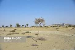 رئیس مرکز کیفیت هوا و تغییر اقلیم عنوان کرد تنش آبی در ایران/ ۱۸ استان کشور درگیر فرونشست هستند