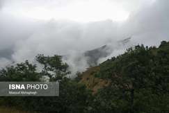 «بازمانده عصر یخبندان» گنجینه‌ای برای گلستان/ فسیل‌های زنده ۵۰ میلیون ساله را قدر بدانیم