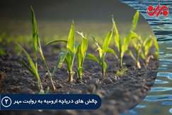 بازخوانی چالش‌های دریاچه ارومیه-۲ لزوم تغییر الگوی کشت برای نجات دریاچه/ کاشت ناهمگون متهم ردیف اول