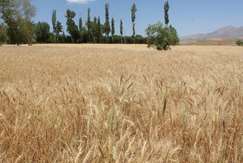 تجارب کم‌آبی کشورهای منطقه، راهنمای ایران