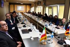 The Joint Session of the Geological Survey of Iran (GSI) and JSC Institute of Russia to Train the GSI Experts in Geological Mapping at the scale of 1:50000